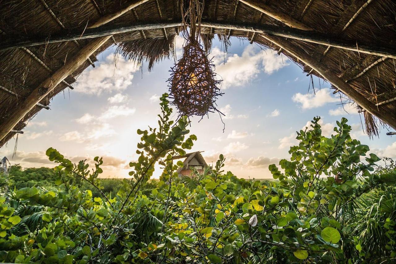 Hidden Treehouse Tulum Eco-Hotel ภายนอก รูปภาพ