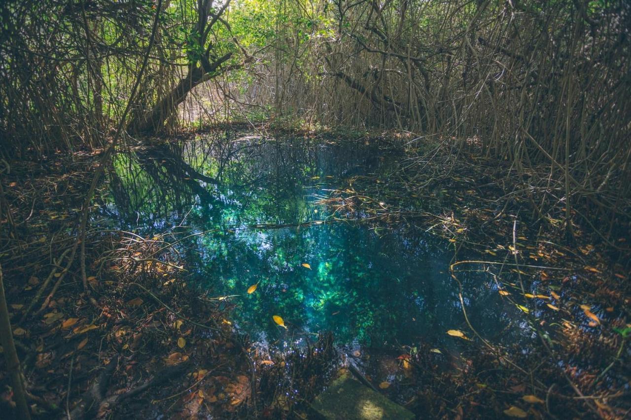 Hidden Treehouse Tulum Eco-Hotel ภายนอก รูปภาพ